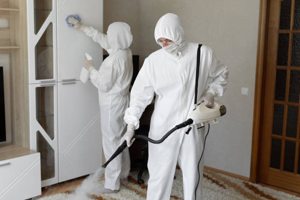 24/7 Emergency Odor Removal experts in Normanna, TX