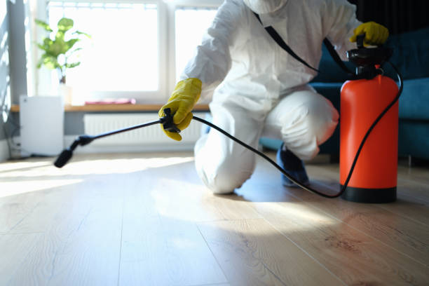 Reliable Odor Removal contractor in Normanna, TX by Trauma Clean Pros